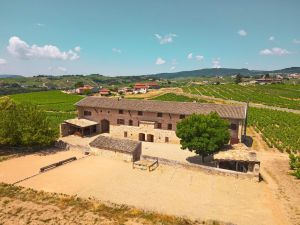 DJI_0010
