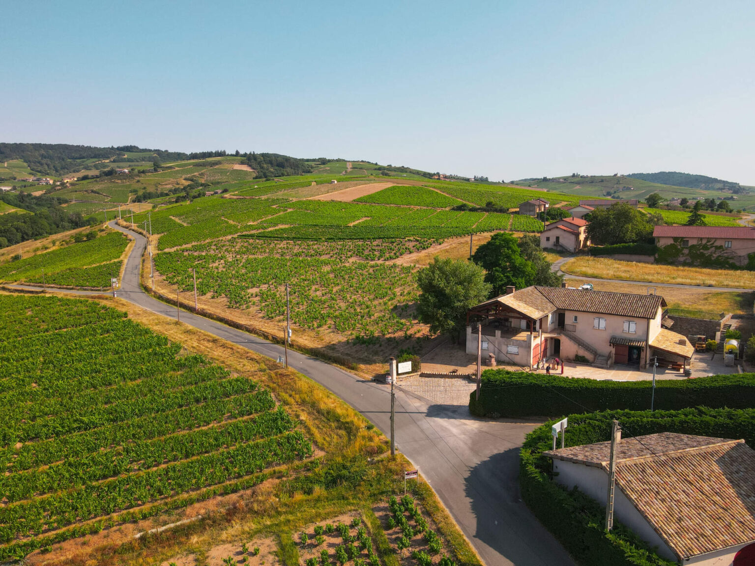 Domaine Steeve Charvet
Vigneron à Chiroubles
 
